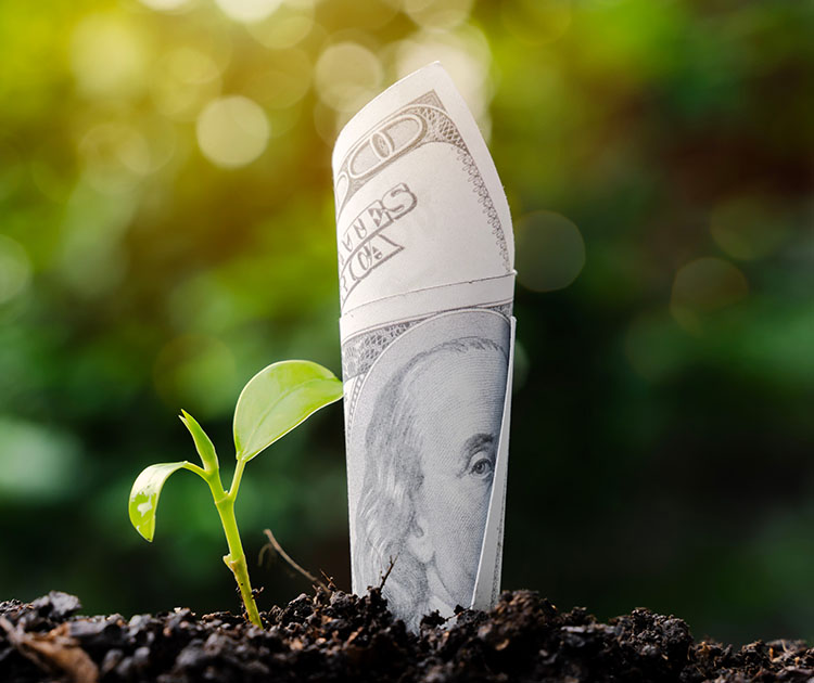 Image of a rolled-up dollar sprouting from soil next to a new sapling.